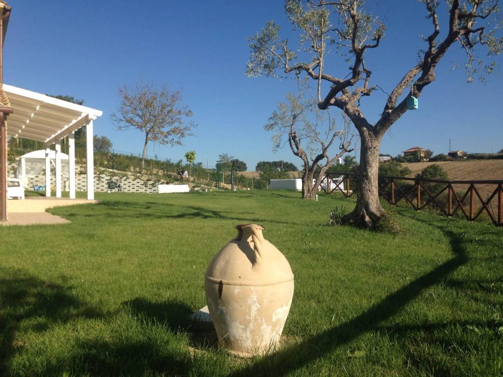 Casa indipendente a Monte vidon corrado in valle marina - Foto 3