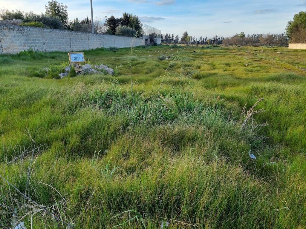 Terreno a Copertino in Strada Provinciale 114 s.n.c - Foto 3