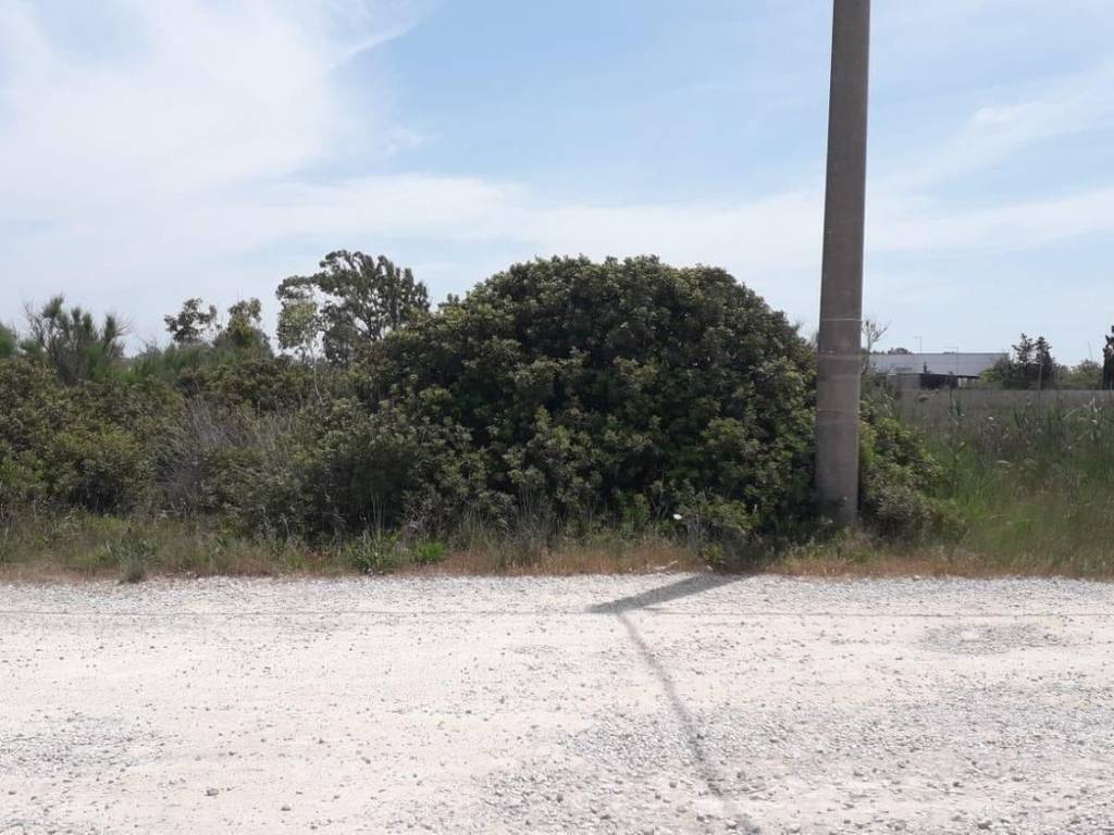 Terreno a Porto cesareo in Via Francesco Durante s.n.c - Foto 5