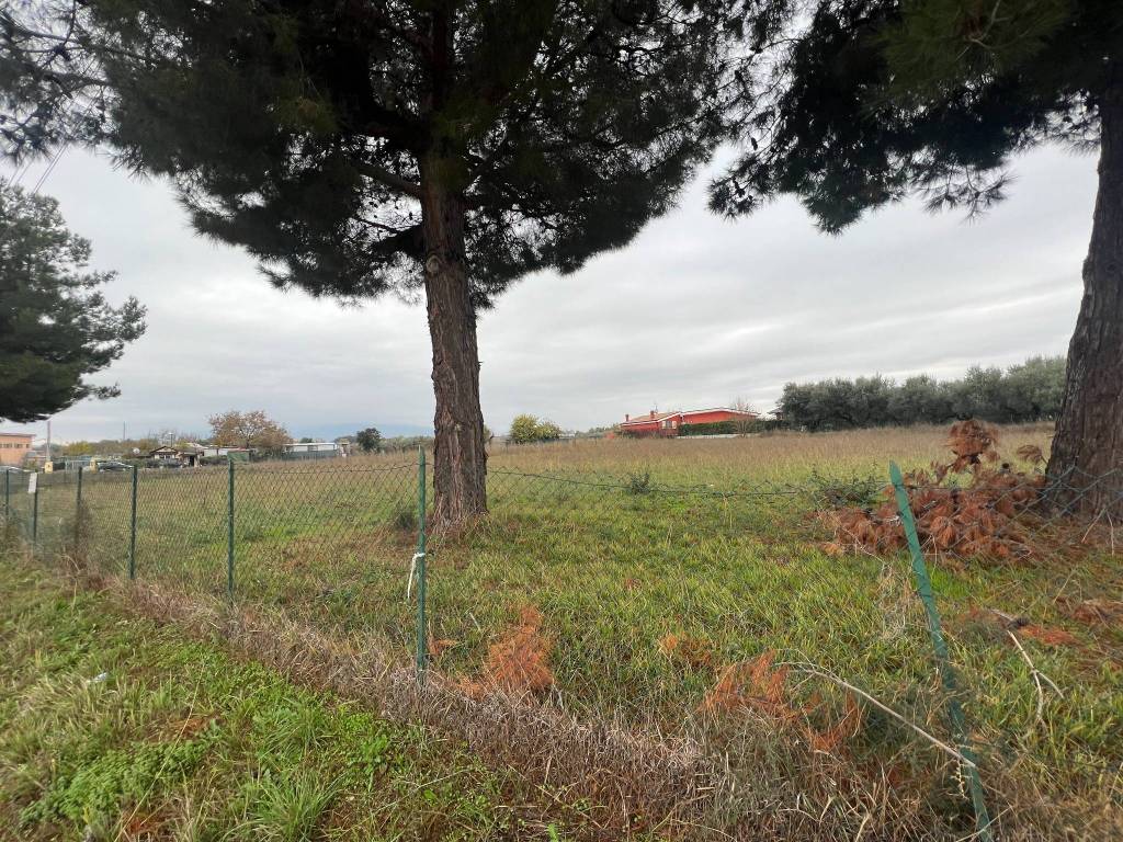 Terreno a Cepagatti in Strada Comunale Marinaro - Foto 2