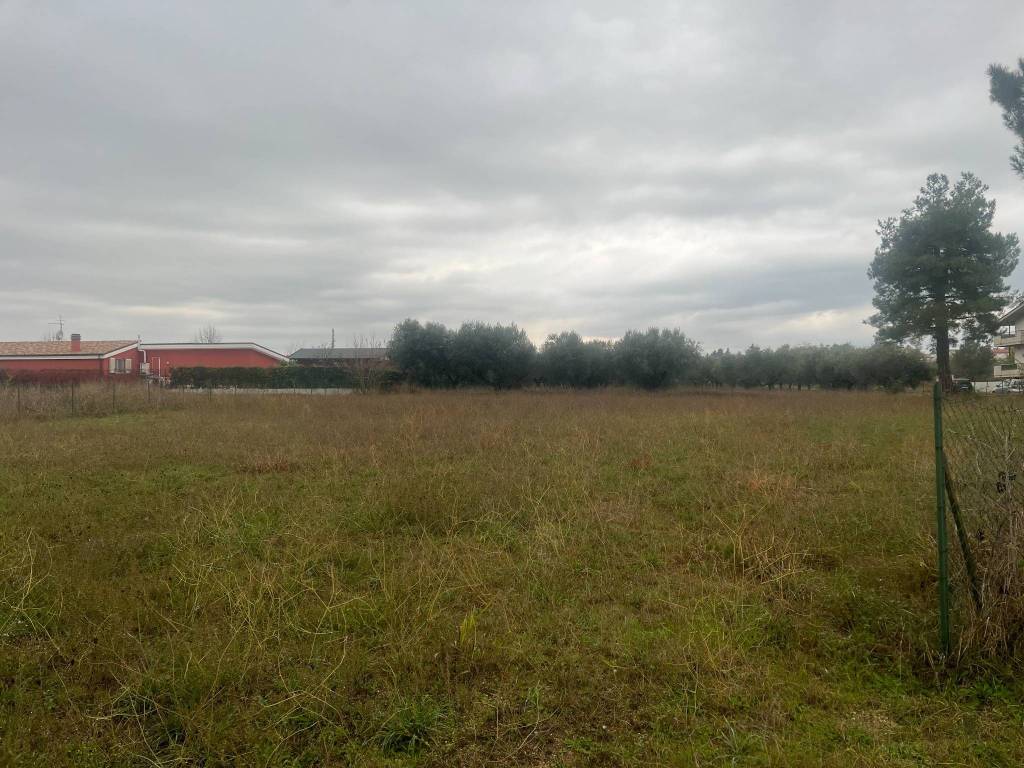 Terreno a Cepagatti in Strada Comunale Marinaro - Foto 3