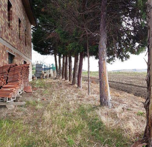 Villa a Montenero di bisaccia in Contrada Colle Delle Ginestre 71 - Foto 4