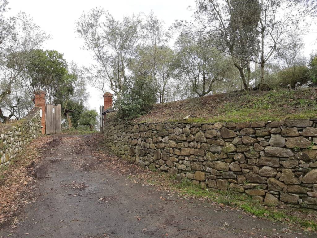 Villa a Carmignano - Foto 5