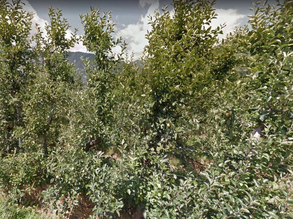 Terreno a Riva del garda in Via Sant'Andrea, 7 - Foto 2