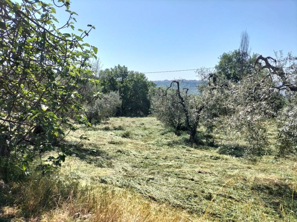 Rustico / casale a Giove in Vocabolo Campocavallo - Foto 2