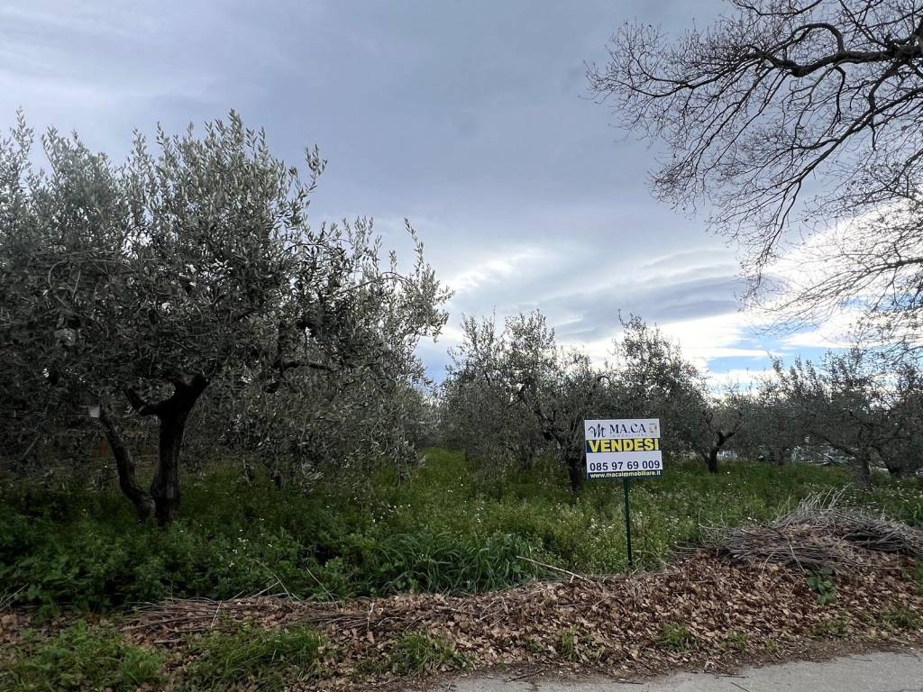 Terreno a Nocciano in Contrada Fonteschiavo - Foto 2
