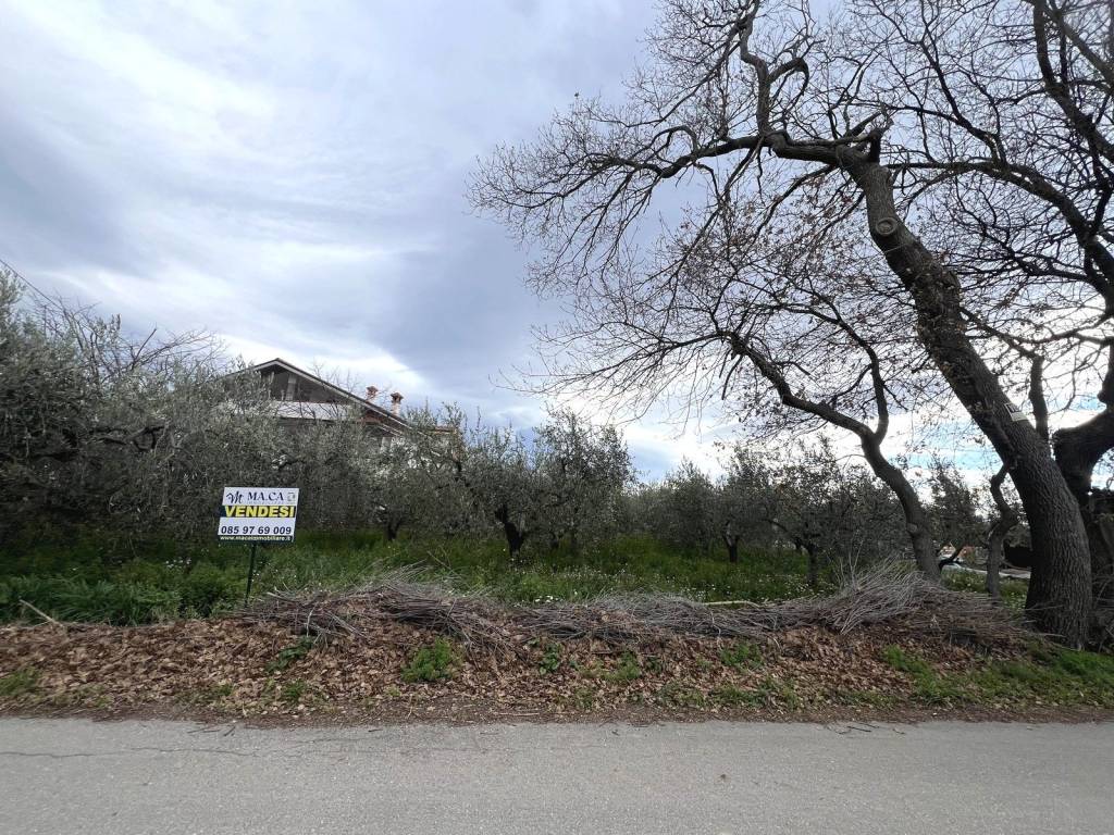 Terreno a Nocciano in Contrada Fonteschiavo - Foto 3