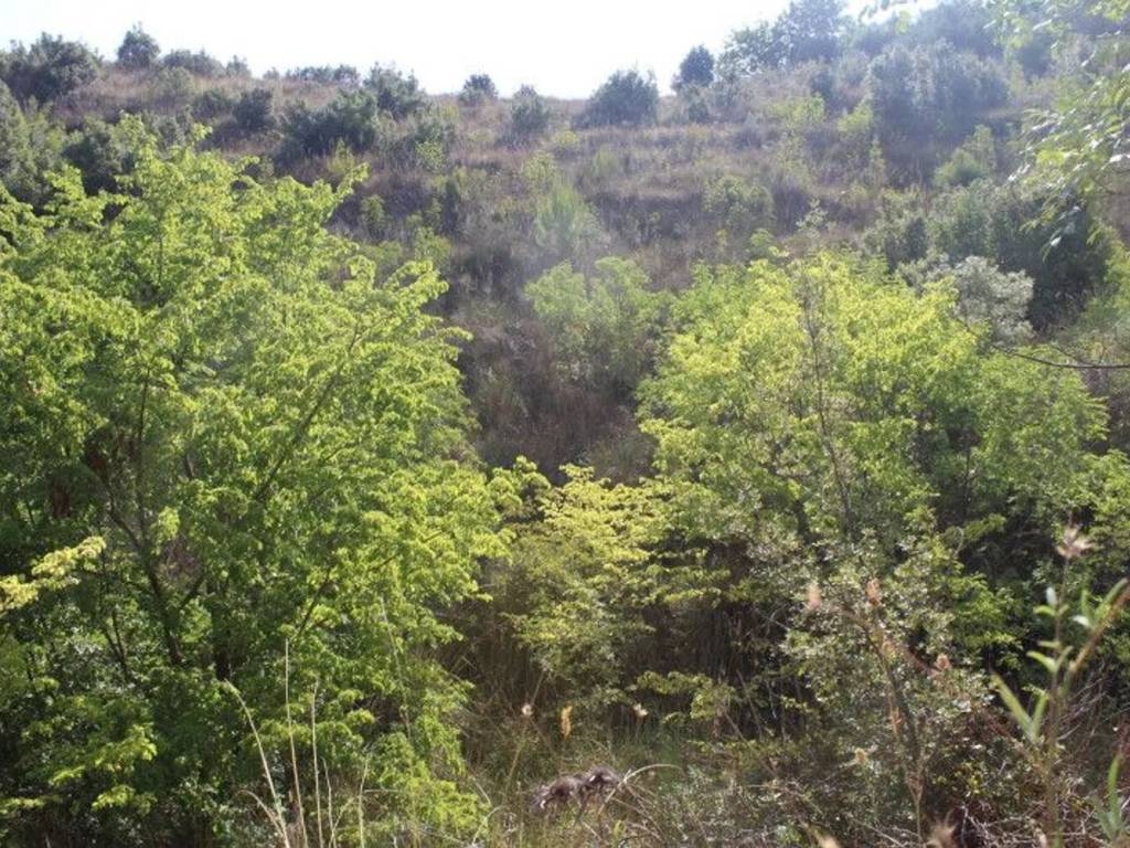 Terreno a Monreale in Via Montefiascone S.N.C. - Foto 2