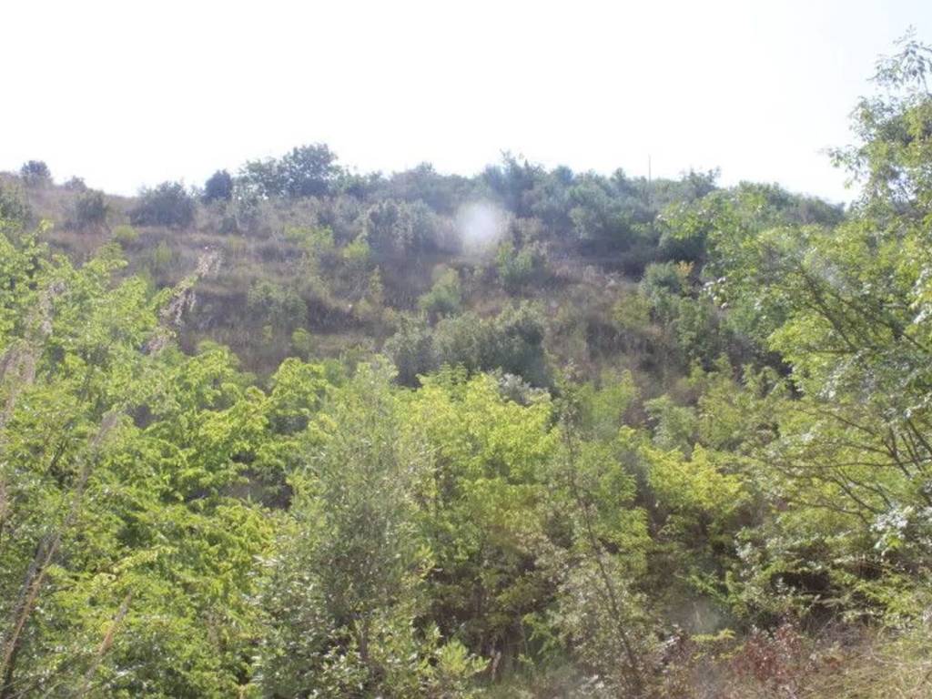 Terreno a Monreale in Via Montefiascone S.N.C. - Foto 4