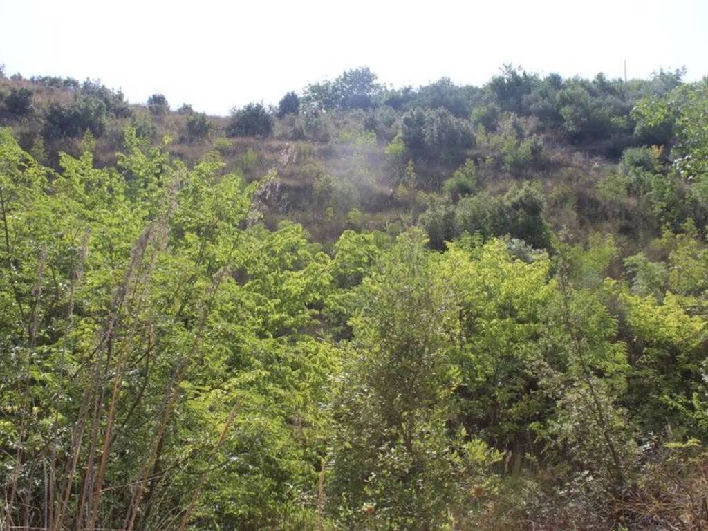 Terreno a Monreale in Via Montefiascone S.N.C. - Foto 5