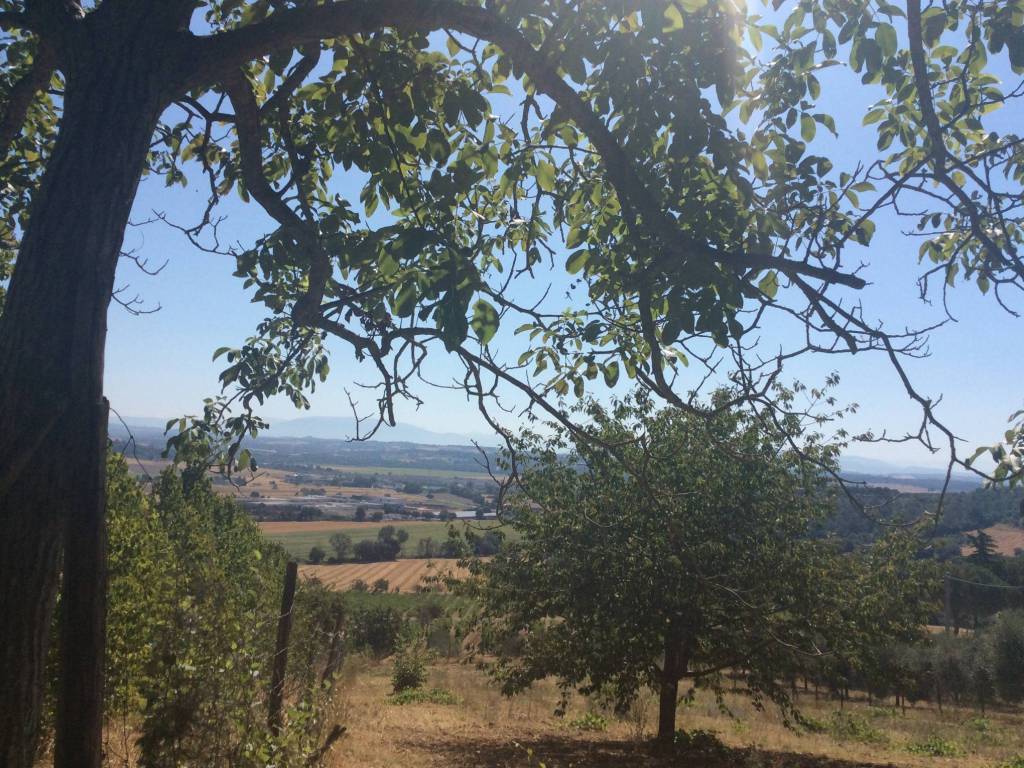 Terreno a Perugia in Strada di Agello - Foto 2
