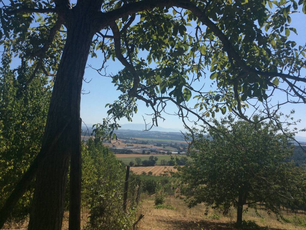 Terreno a Perugia in Strada di Agello - Foto 3