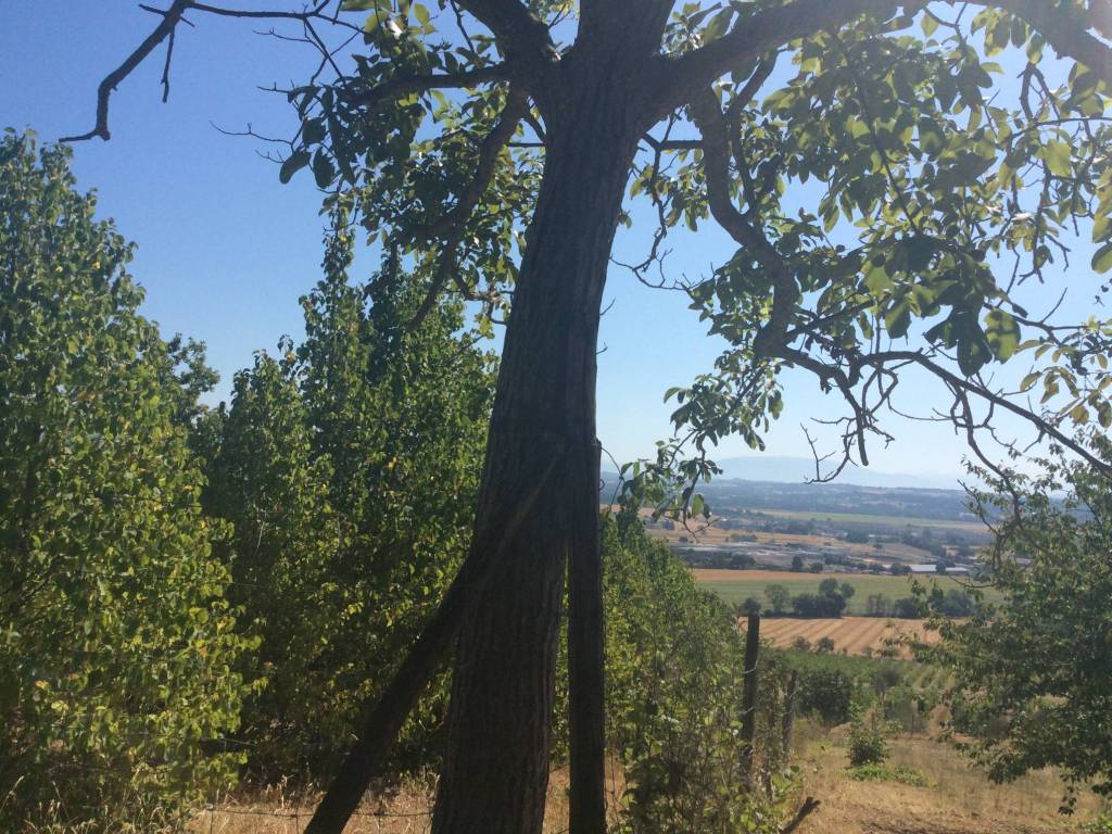 Terreno a Perugia in Strada di Agello - Foto 4