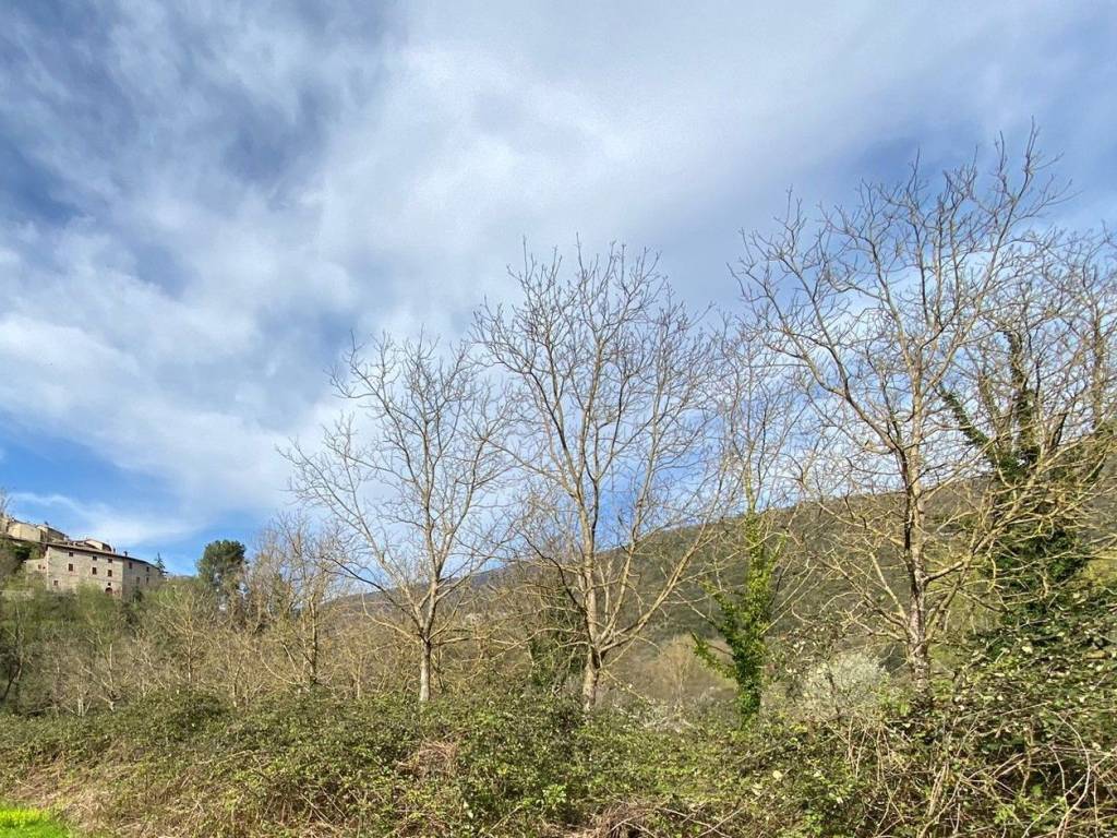 Terreno a Ferentillo in Via Strada Statale Valnerina - Foto 5