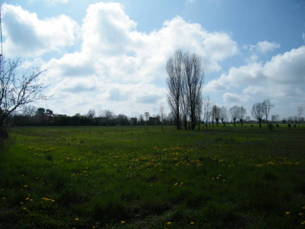 Villa a Piazzola sul brenta in Via Presina - Foto 3