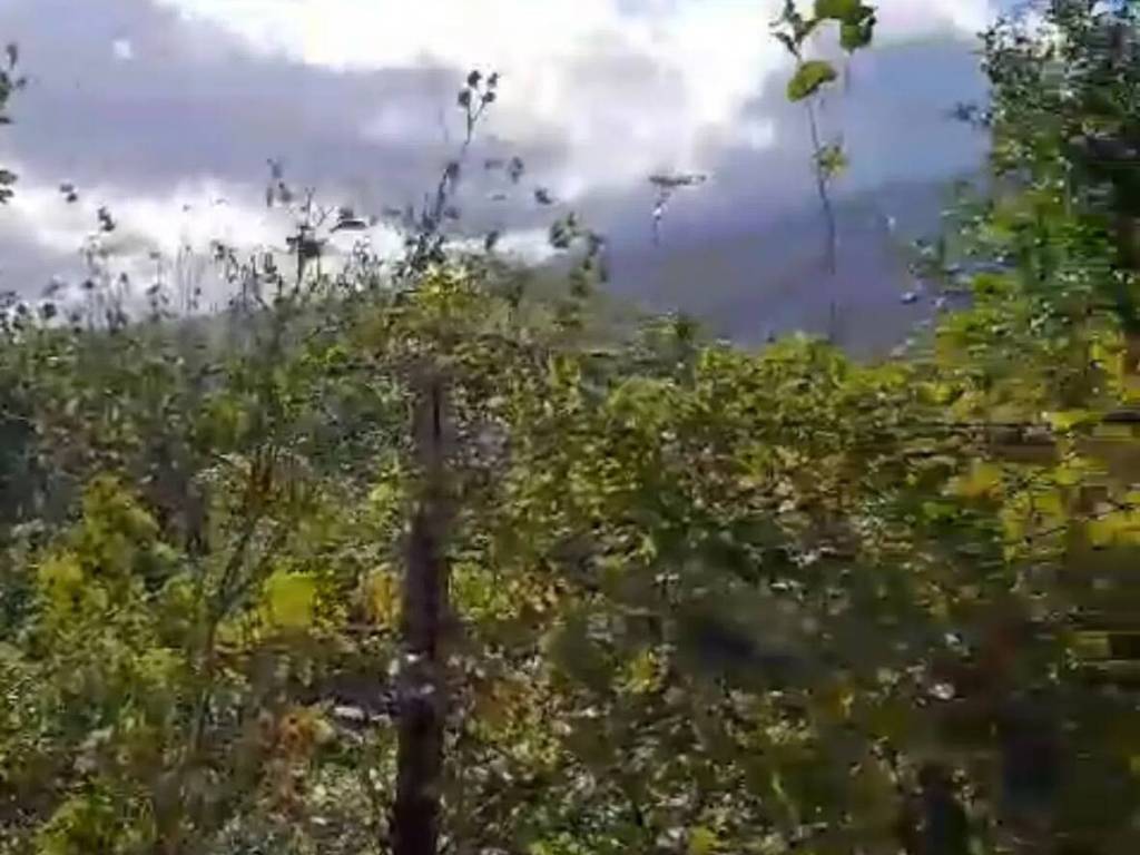 Villa a Castelsaraceno in Miraldo S.N.C. - Foto 2