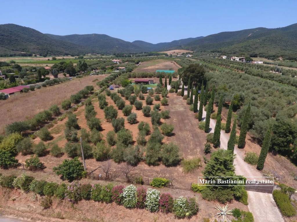 Terreno a Castiglione della pescaia in Via Del Poggetto S.N.C. - Foto 3