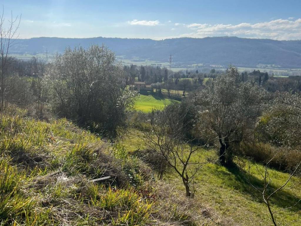 Rustico / casale a Giove in Vocabolo Cipresso - Foto 5