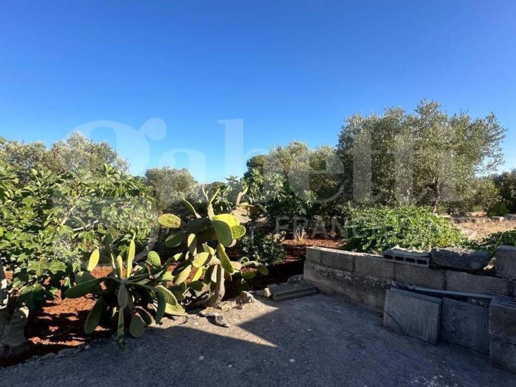 Terreno a Ostuni in C.da Salinola - Foto 2