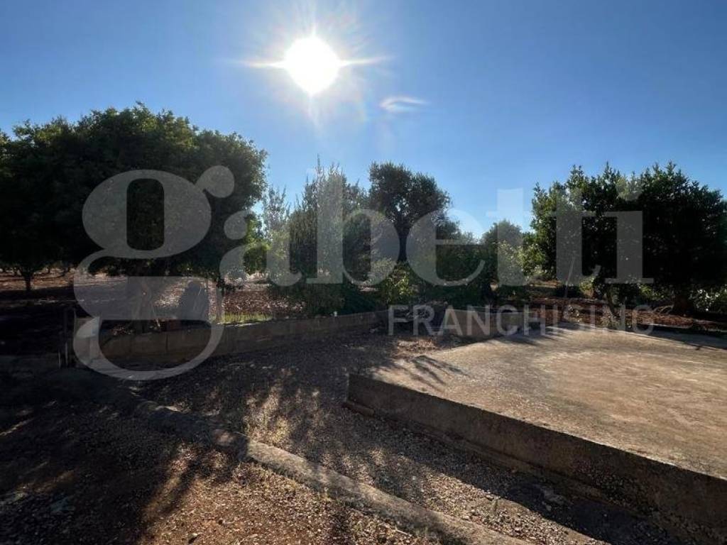 Terreno a Ostuni in C.da Salinola - Foto 3