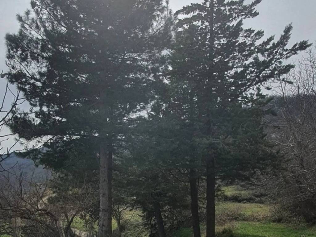 Villa a Moliterno in Fontana D'Eboli S.N.C. - Foto 2