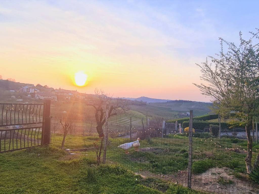 Immobile a Castagnole delle lanze in Via Farinere - Foto 2