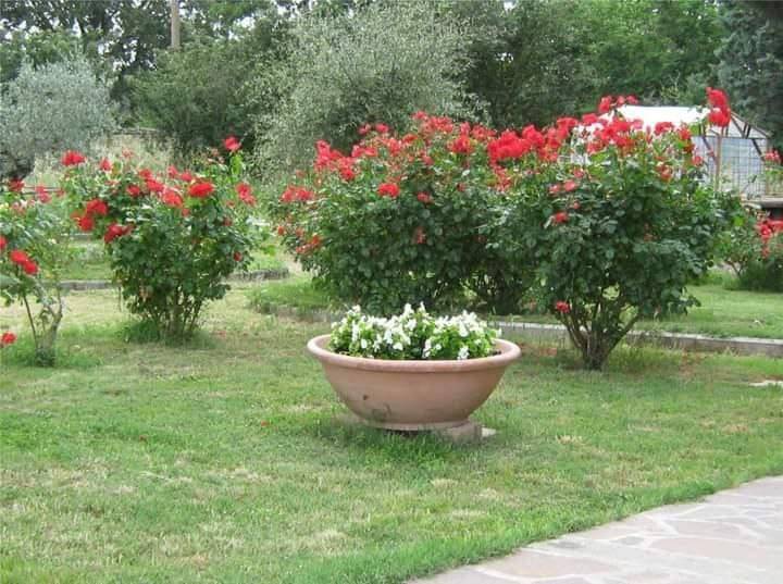 Villa a Castiglione del lago in Località Cascina - Foto 5