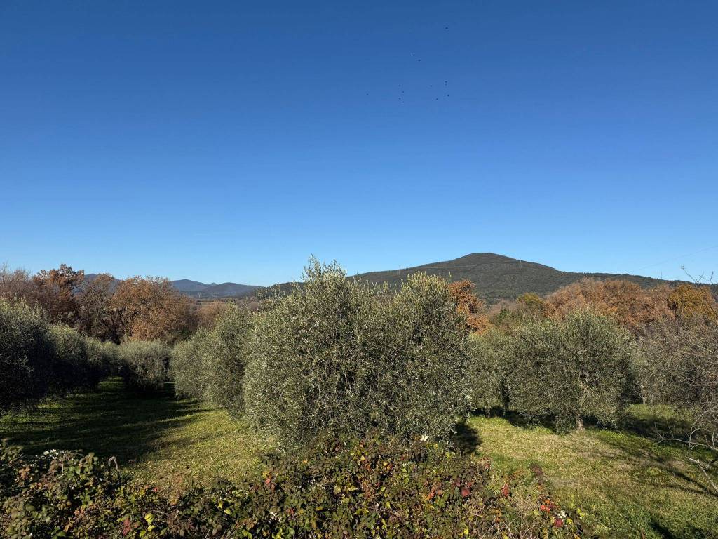 Terreno a Amelia in Via Rimembranze, 8 - Foto 2