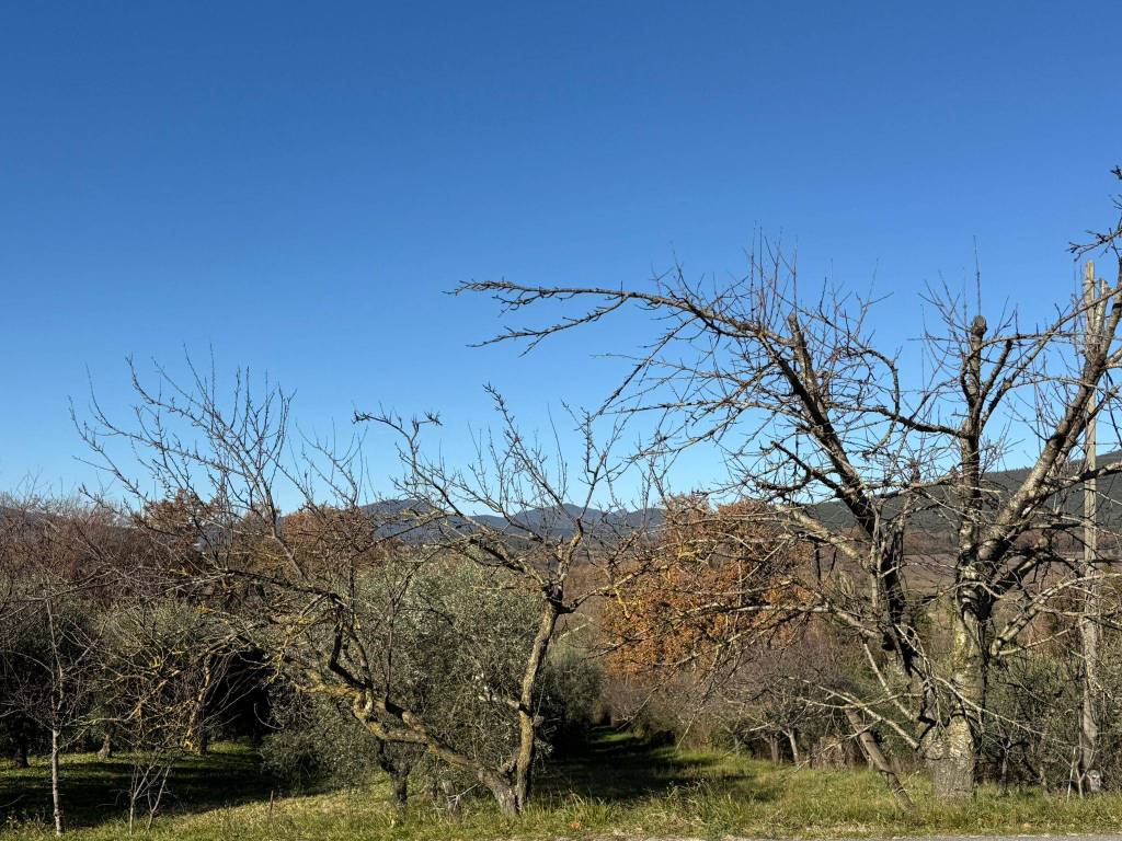 Terreno a Amelia in Via Rimembranze, 8 - Foto 3