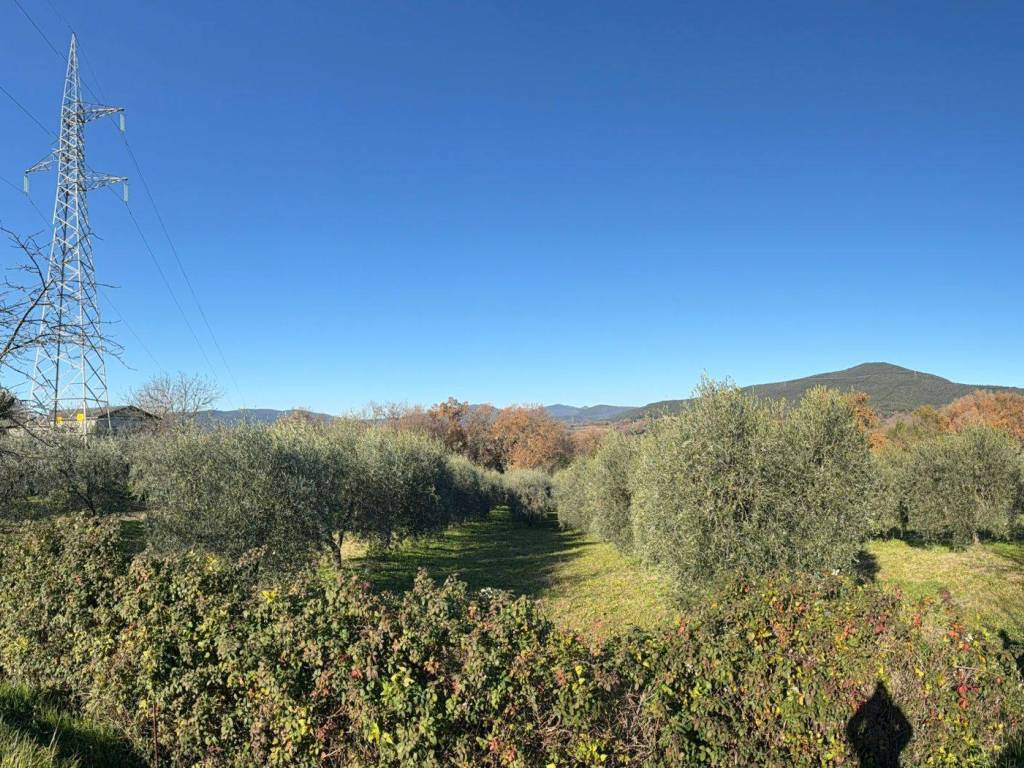 Terreno a Amelia in Via Rimembranze, 8 - Foto 4