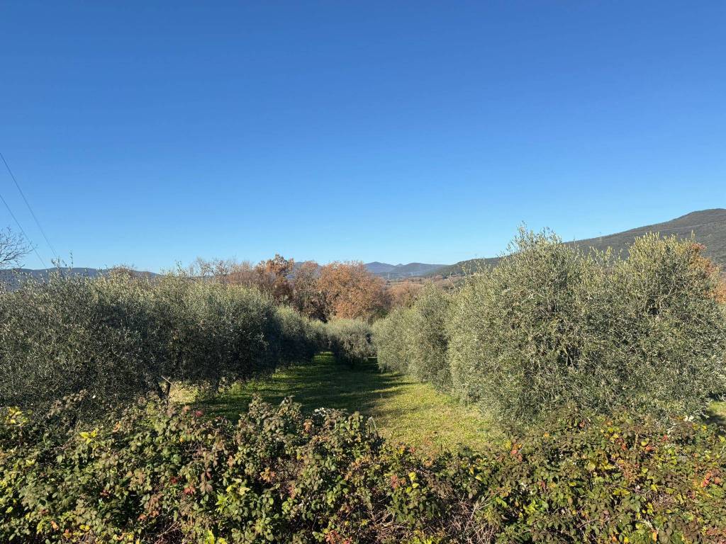 Terreno a Amelia in Via Rimembranze, 8 - Foto 5