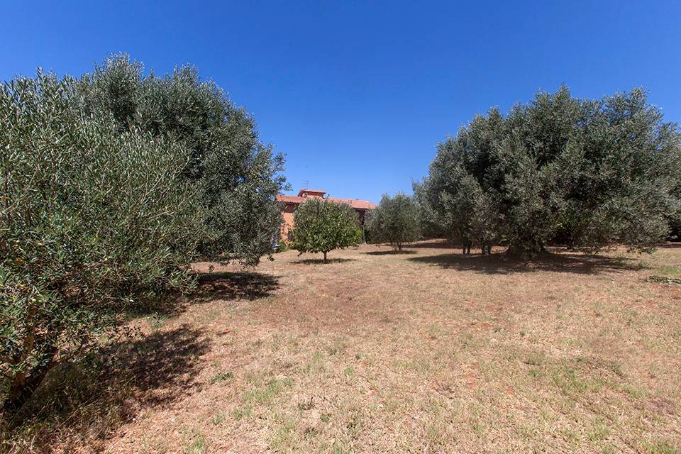 Villa a Orbetello in Strada Vicinale dei Poggi - Foto 2