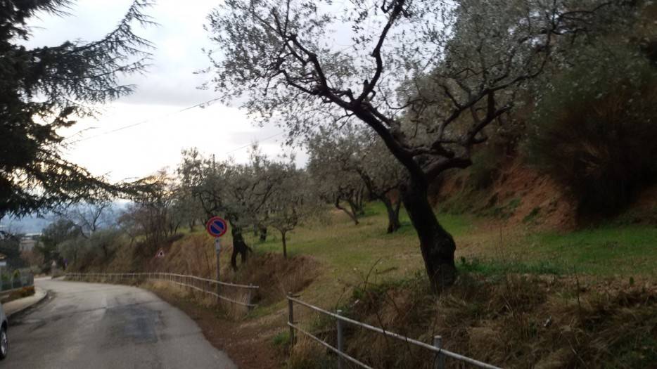 Terreno a Assisi in Via Eremo delle Carceri - Foto 2