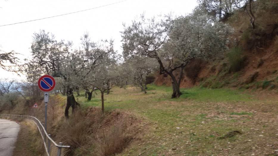 Terreno a Assisi in Via Eremo delle Carceri - Foto 4