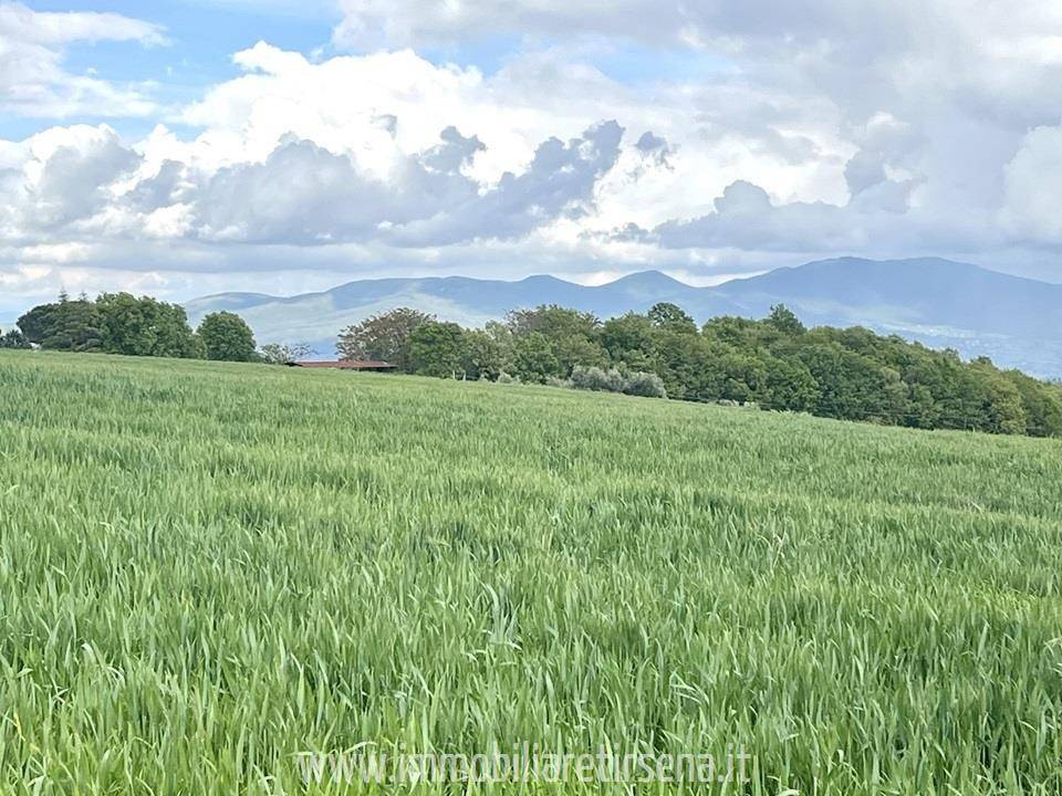 Villa a Orvieto - Foto 5