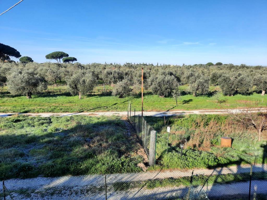Terreno a Castagneto carducci in Strada Provinciale del Passo di Bocca di Valle - Foto 2