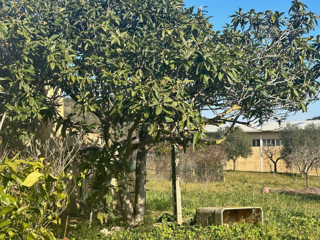 Appartamento a Monte argentario in Via del Campone - Foto 4