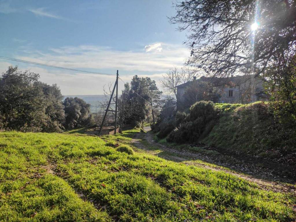 Rustico / casale a Orvieto in Bagni - Foto 4