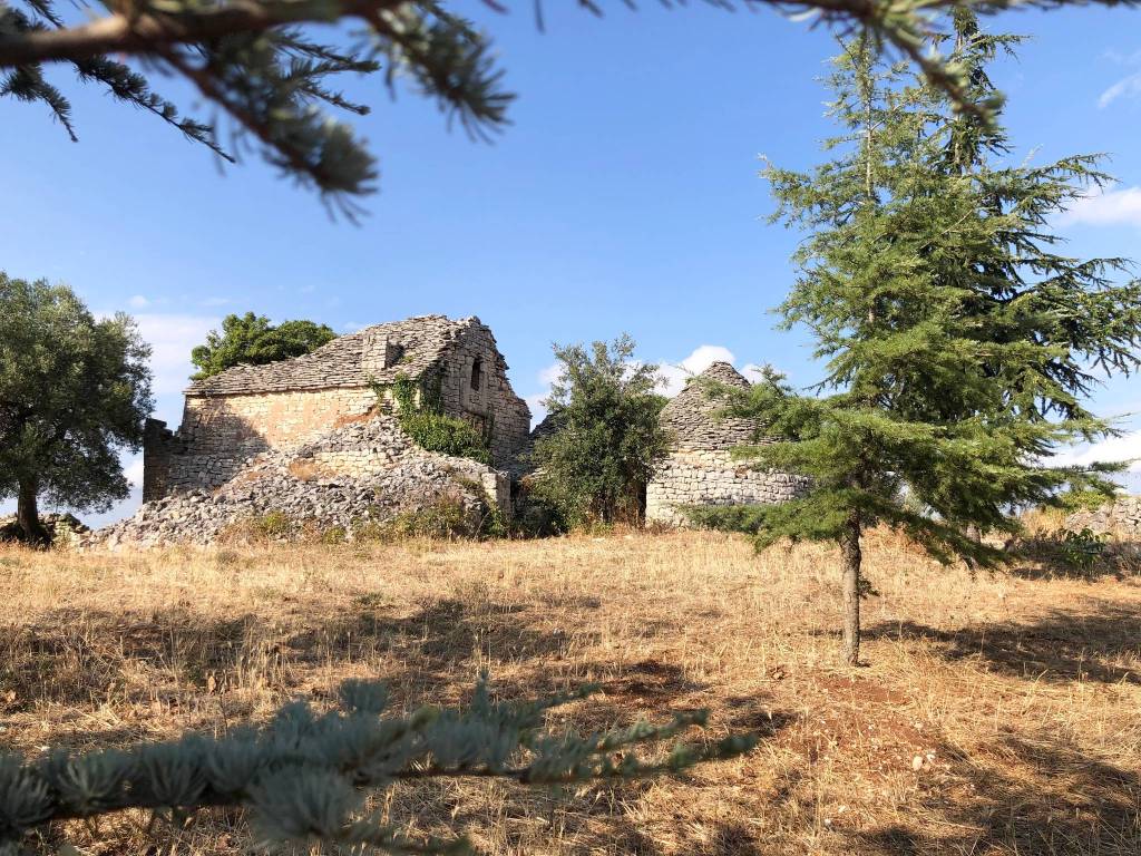 Rustico / casale a Alberobello in Contrada Monte del Sale - Foto 4