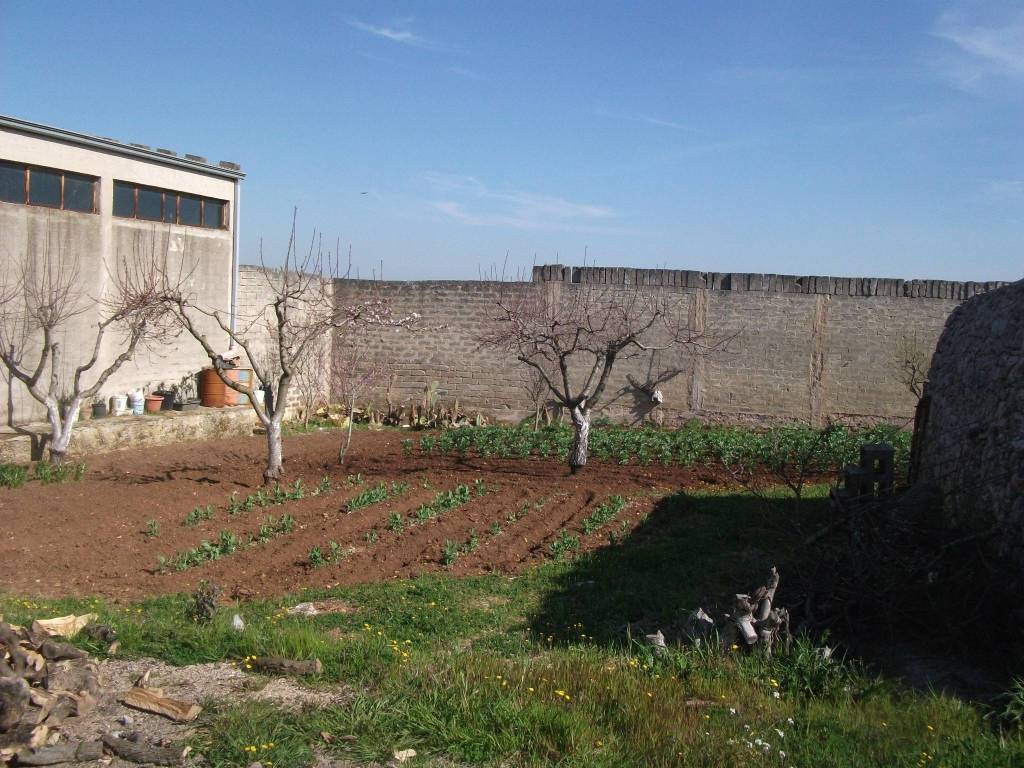 Immobile a Santeramo in colle - Foto 2