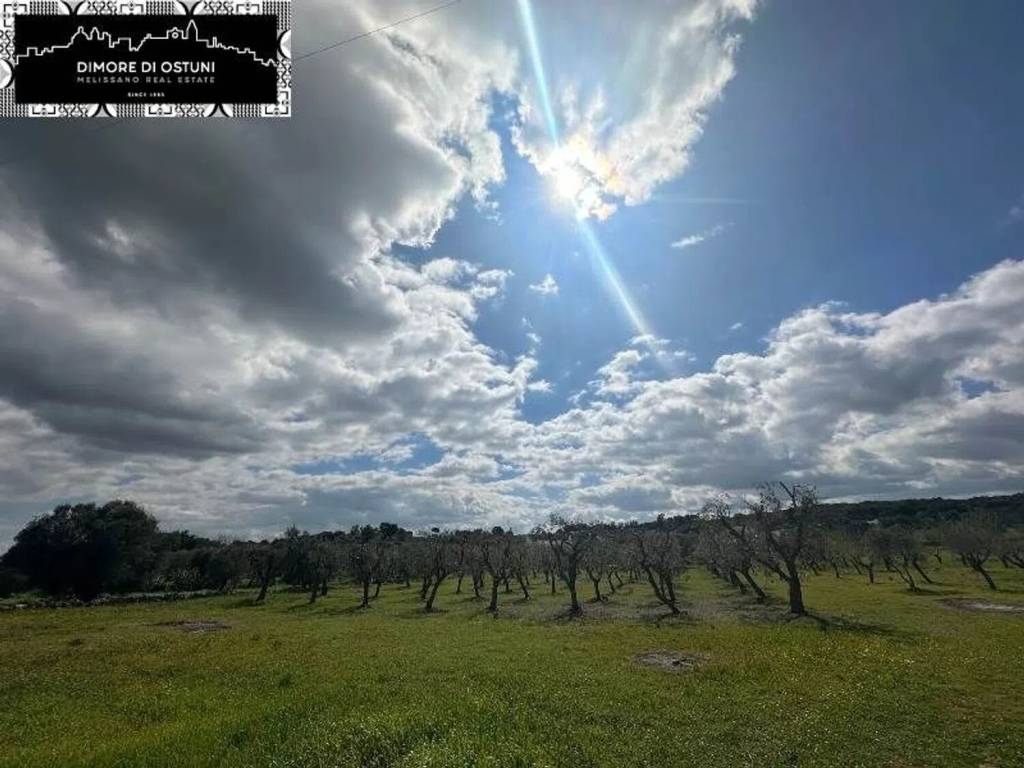 Terreno a Ostuni - Foto 2