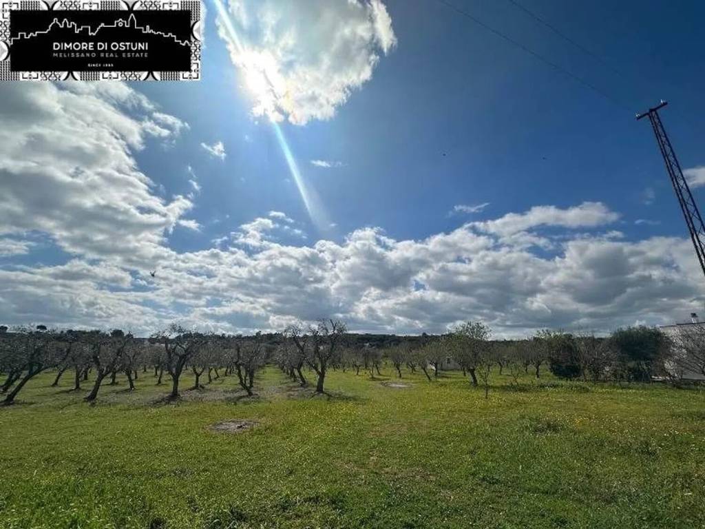 Terreno a Ostuni - Foto 3