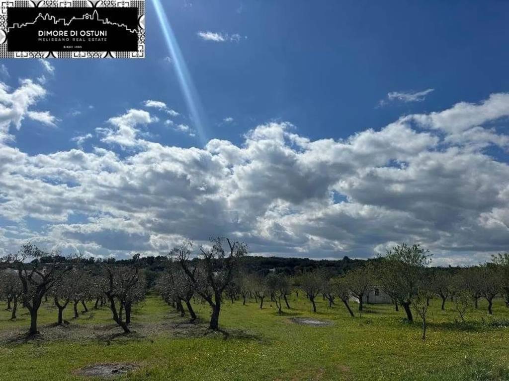 Terreno a Ostuni - Foto 4