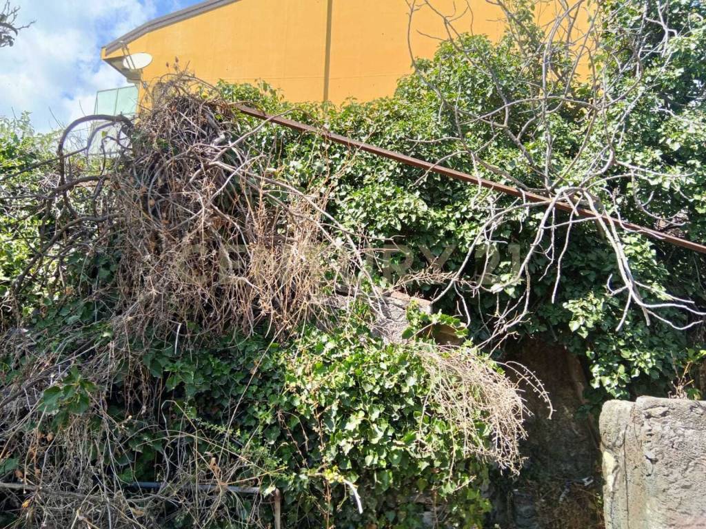 Rustico / casale a Valverde in Via Maugeri, 12 - Foto 4
