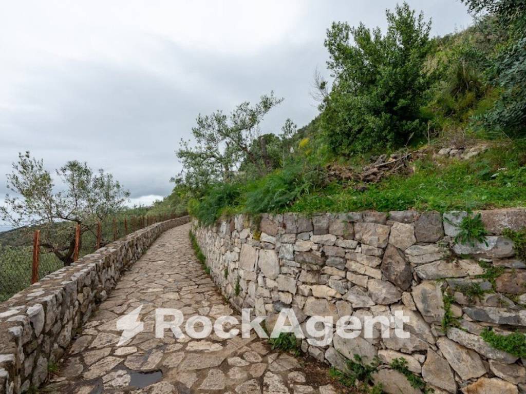 Terreno a Massa lubrense in Punta Campanella, Massa Lubrense, NA, Italia - Foto 5