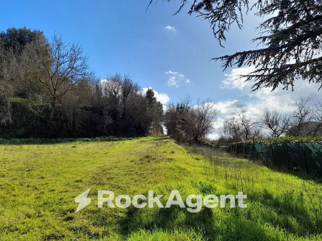 Terreno a Acquapendente in Località la Villa snc - Foto 5