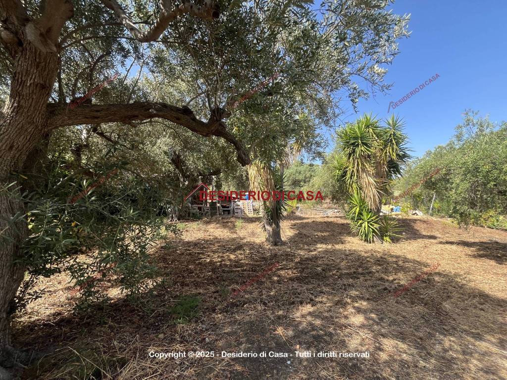 Terreno a Casteldaccia in Strada Travesa - Foto 3