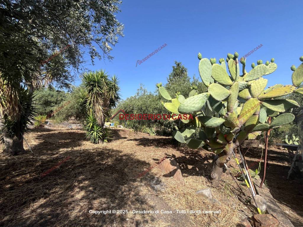 Terreno a Casteldaccia in Strada Travesa - Foto 4