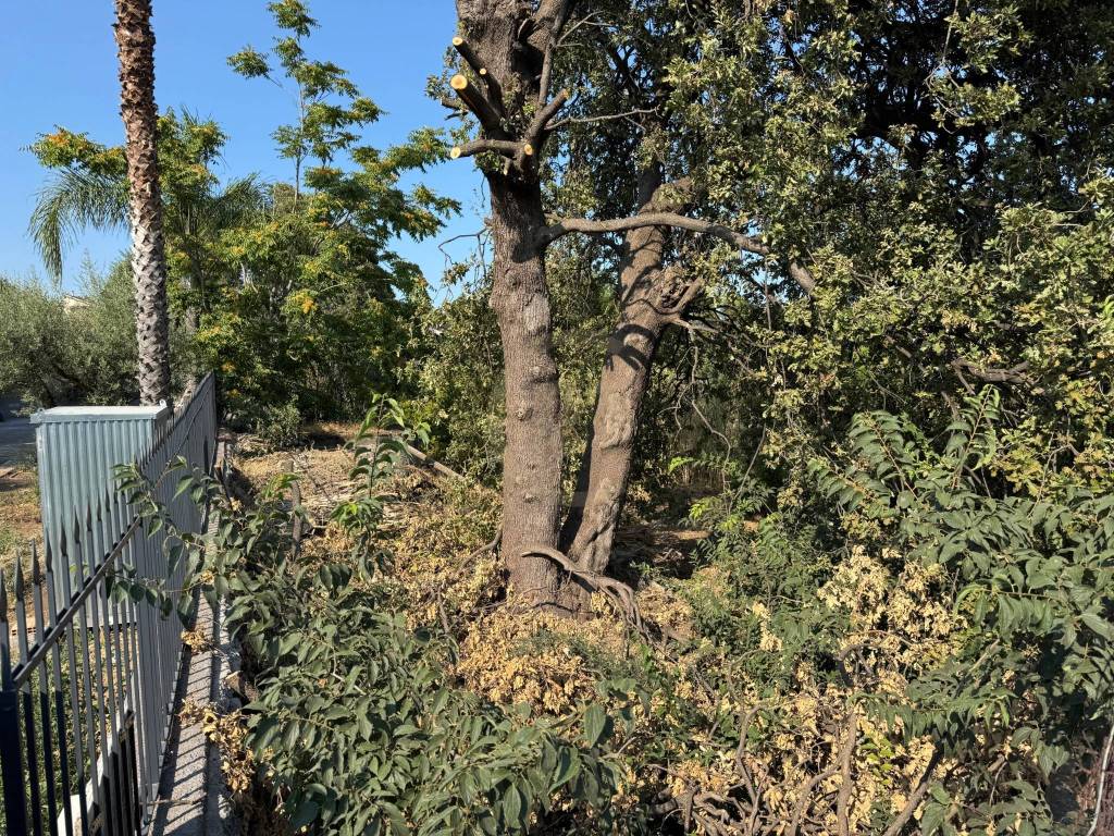 Terreno a Aci sant'antonio in Via Francesco Riso, 55 - Foto 4