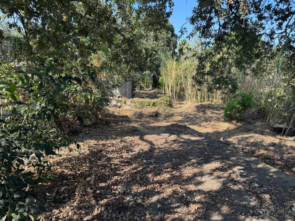 Terreno a Aci sant'antonio in Via Francesco Riso, 55 - Foto 5